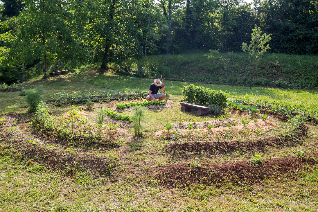 Young man Working in a Home Grown Vegetable Garden